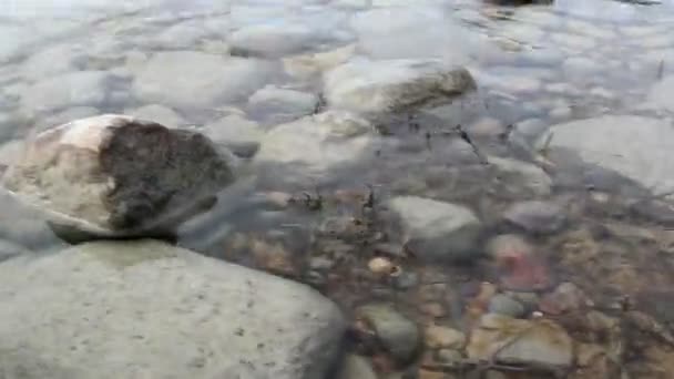 Много камней на морском дне — стоковое видео