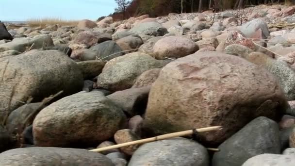 Beaucoup de roches le long de la côte de la mer — Video