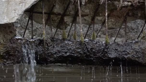 Eau tombant du pont — Video