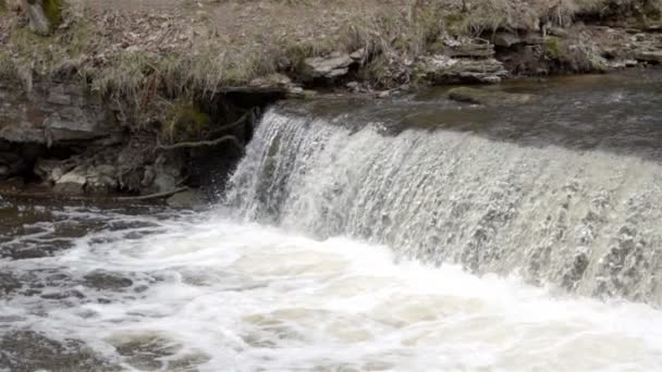 The rapids from the river — Stock Video