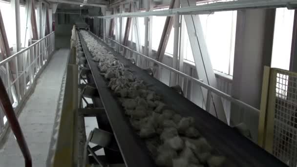 Grands calcaires transportés dans un convoyeur 