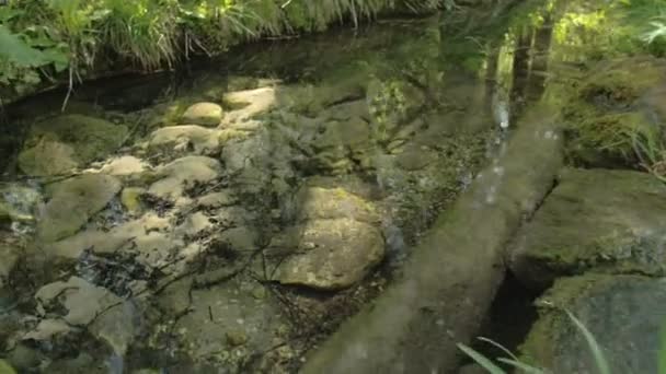 Piedras debajo del agua — Vídeo de stock