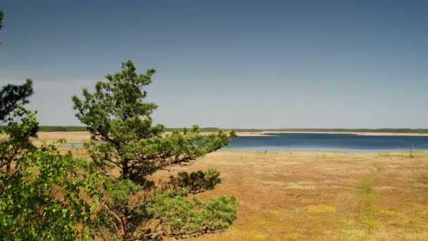 Un grand marais avec de l'eau bleue 