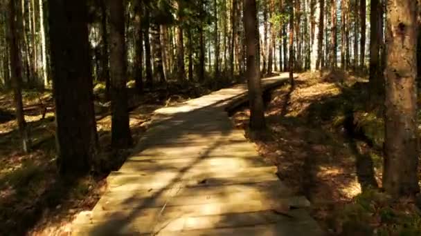 Houten wandelpaden gaan door de gazebo — Stockvideo