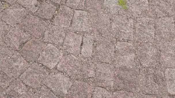 Closer look of the stone street FS700 Odyssey 7Q — Stock Footage Closer look of the stone street FS700 Odyssey 7Q Video Clip