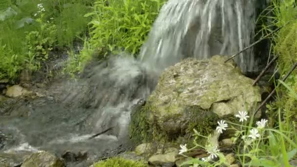 Wasserrauschen von den kleinen Wasserfällen fs700 Odyssee 7q — Stockvideo