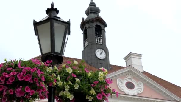 Närmare titt på tornet klockan från det gamla rådhuset i Estland gh4 — Stockvideo