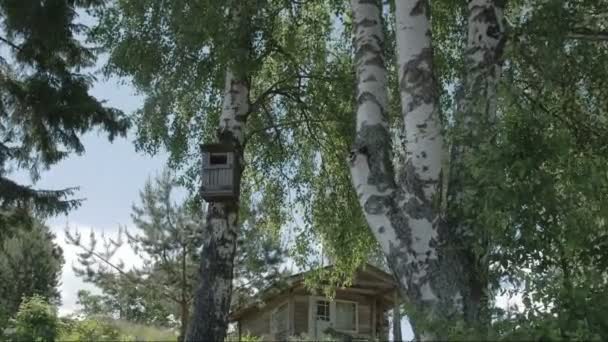 fák körül a kis ház kasmu észt fs700 odyssey 7 q