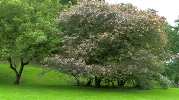 Le parc de la colline Toome en Estonie GH4 