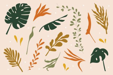 Soyut tropik yapraklar. Egzotik çiçek yaprakları, el çizimi modern boho tarzı, palmiye yaprağı, düz orman bitkileri. Vektör seti.