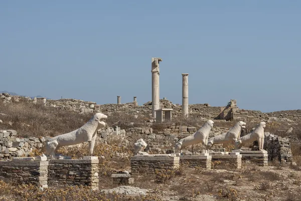 Αρχαϊκά αγάλματα των Λεόντων στον ιερό δρόμο Εικόνα Αρχείου