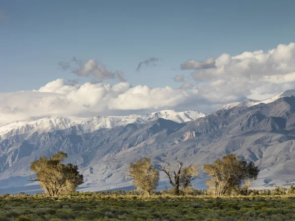 Distance view of mountain range — Stock Photo, Image