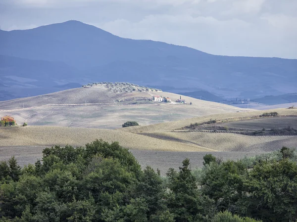 Вид на поле в Тоскане — стоковое фото