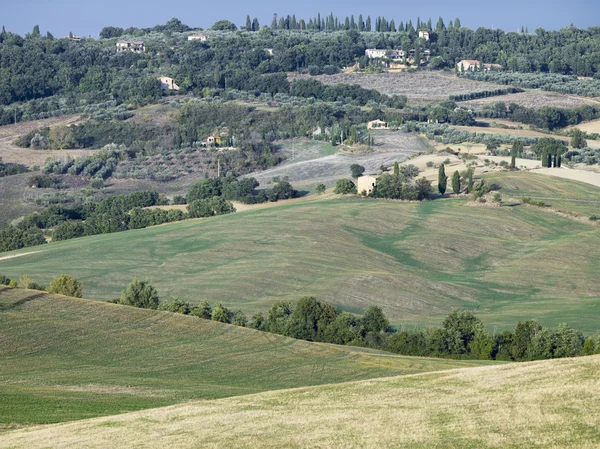 Avstånd syn på grön äng i Toscana — Stockfoto