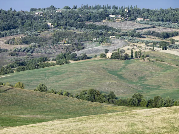 Vista a distanza del prato verde in Toscana — Foto Stock