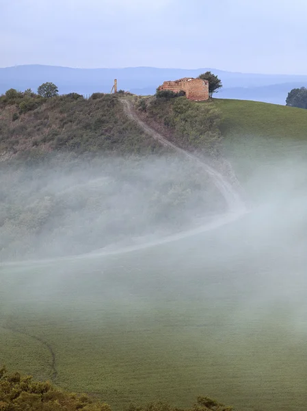 Carretera niebla Toscano — Foto de Stock