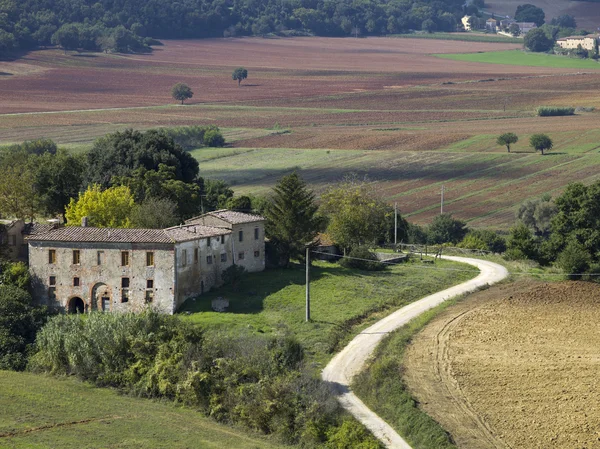 Väg i fältet i Toscana — Stockfoto