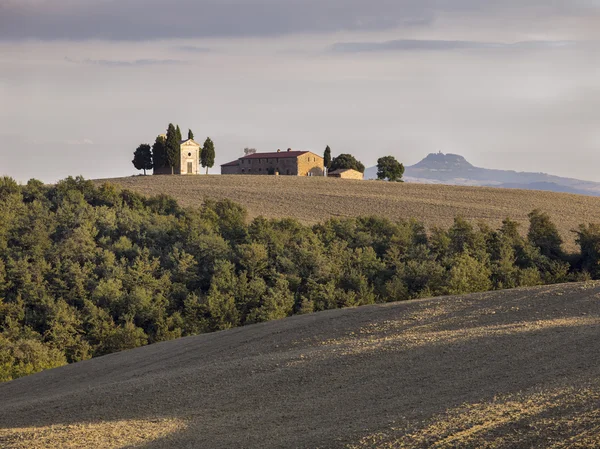 Toskanisches Feld mit Scheune im Hintergrund — Stockfoto