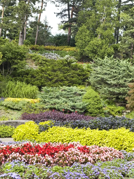 Vielfalt an Blumen und Ortsnamen — Stockfoto