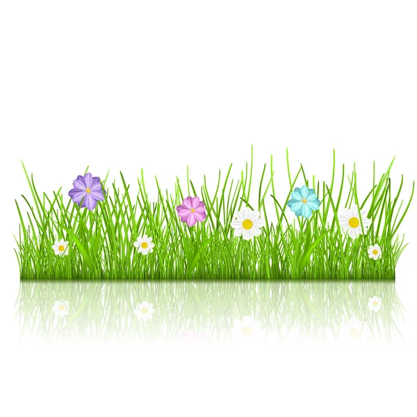 Gras mit Blumen — Stockvektor