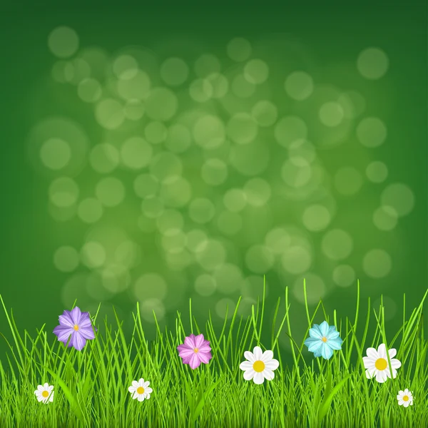 Pozadí s trávou a květinami — Stockový vektor