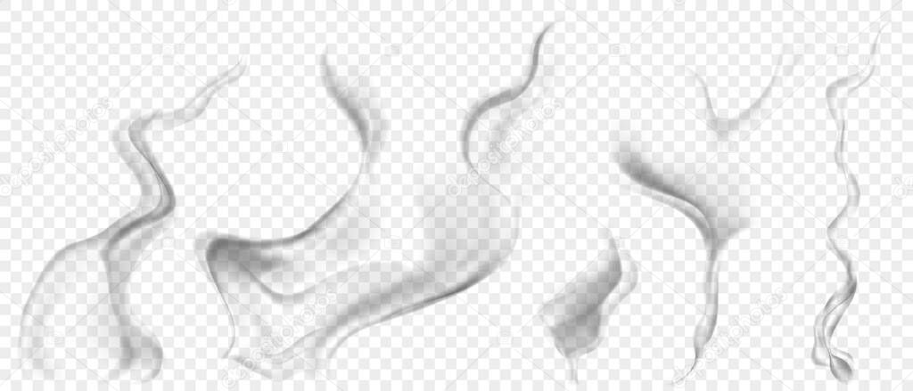 Set of several realistic transparent gray smokes or steam, for use on light background. Transparency only in vector format