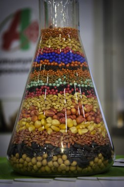 Tarım Tohum bir kavanoz içinde