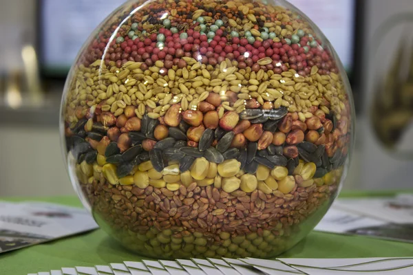 Agro graines dans un bocal — Photo
