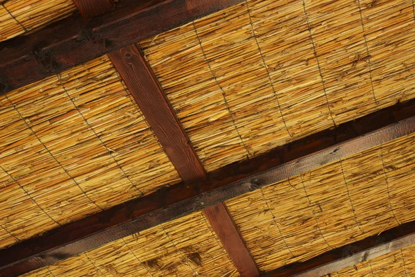 葦の屋根 — ストック写真