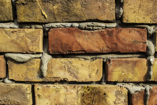 Ladrillos pared y mortero — Foto de Stock