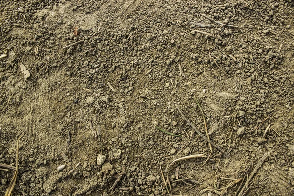 Bodenoberfläche Hintergrund unter hellem Sonnenlicht — Stockfoto