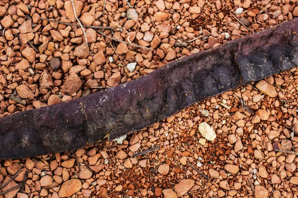 Röda stenar med blad — Stockfoto