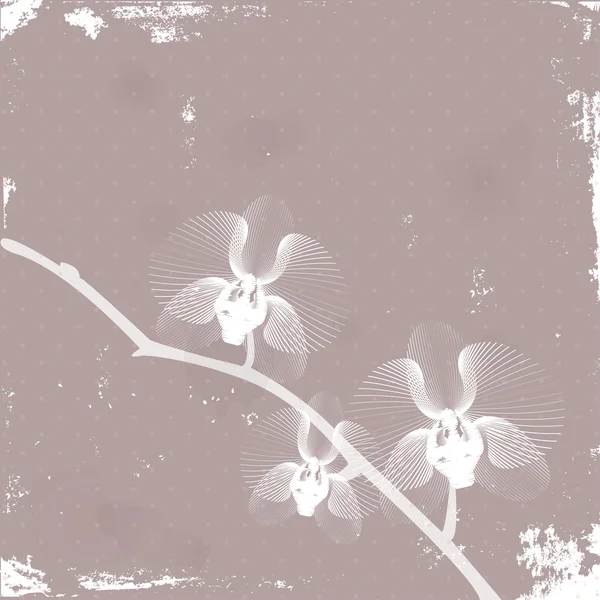 Orchidée stylisée — Image vectorielle