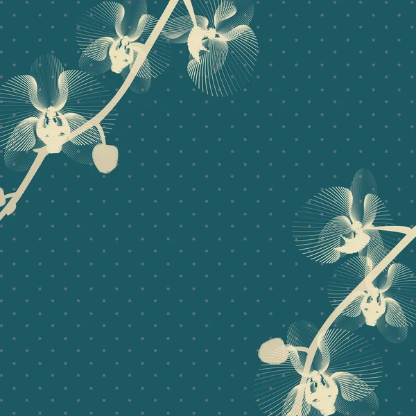 Stylizované orchidej — Stockový vektor