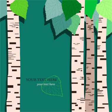 Huş ağacı orman arka plan