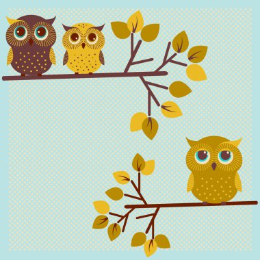 üç sevimli baykuşlar