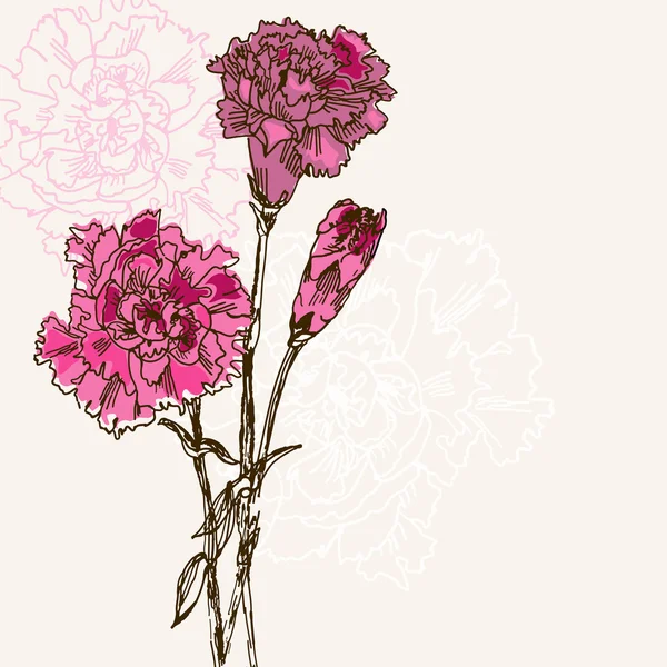 Oeillet fleurs backfround — Image vectorielle
