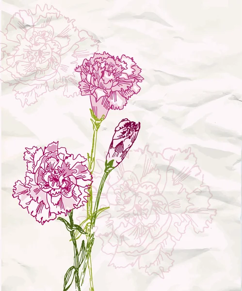 Schets carnation bloem — Stockvector