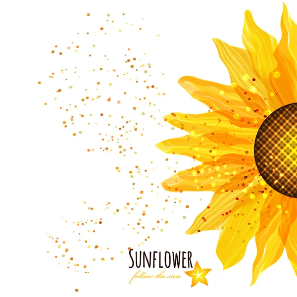 Sonnenblume — Stockvektor