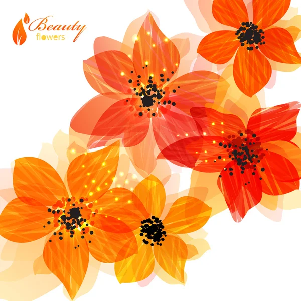 Orange flowers — Stock Vector