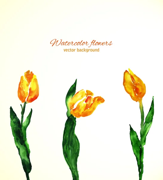 Acuarela amarilla tulipanes — Vector de stock