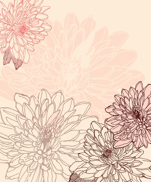 Crisantemo dibujado a mano — Archivo Imágenes Vectoriales