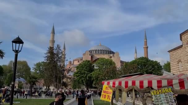 Hagia Sophia Mosque Ayasofya Cami Close View Istanbul Turkey 2022 — 비디오