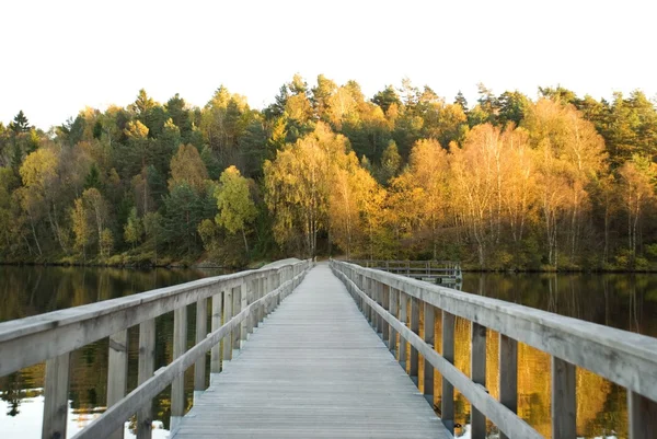 Path over a lake in autumn