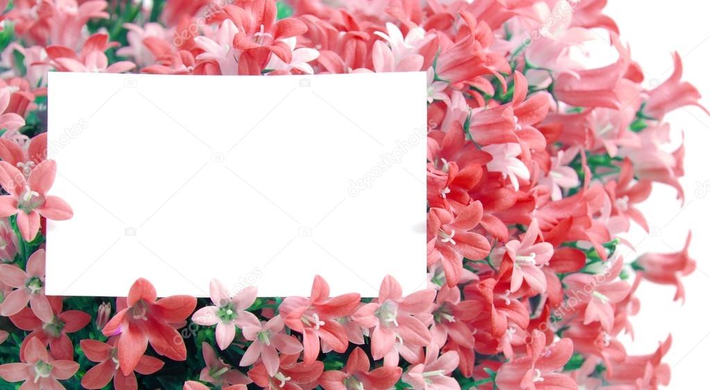 white copyspace in red flowers