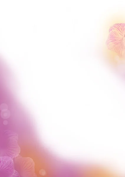 Lila Blume Hintergrund — Stockfoto
