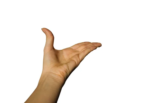 Kéz, mely — Stock Fotó