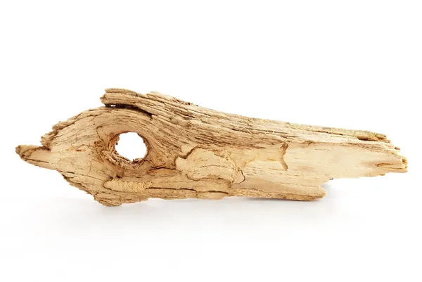 Driftwood jako tag — Zdjęcie stockowe