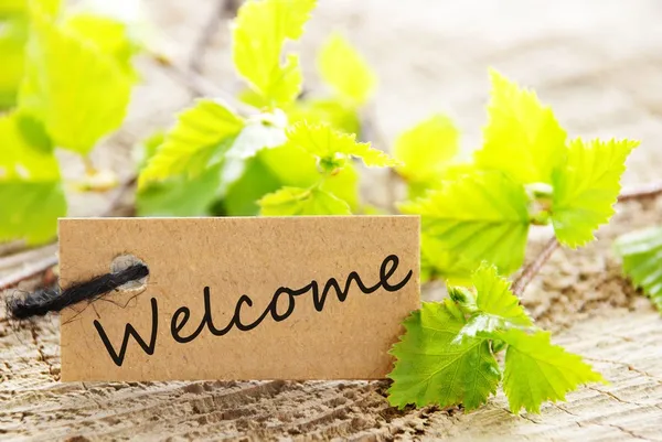 Label with welcome — Stock Photo, Image