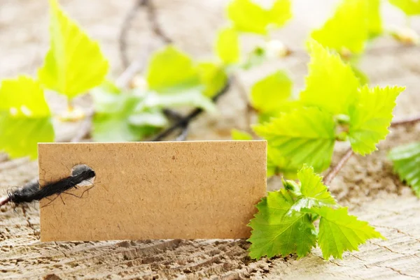 Banner mit grünen Blättern — Stockfoto